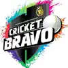 Bravo Cricket Academy contact information