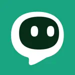 Wizer - AI Chatbot App Problems