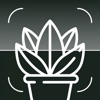 Tree & Plant Identifier app