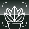 Tree & Plant Identifier app - Mazur Nela