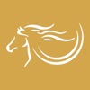 Al Awani Store icon