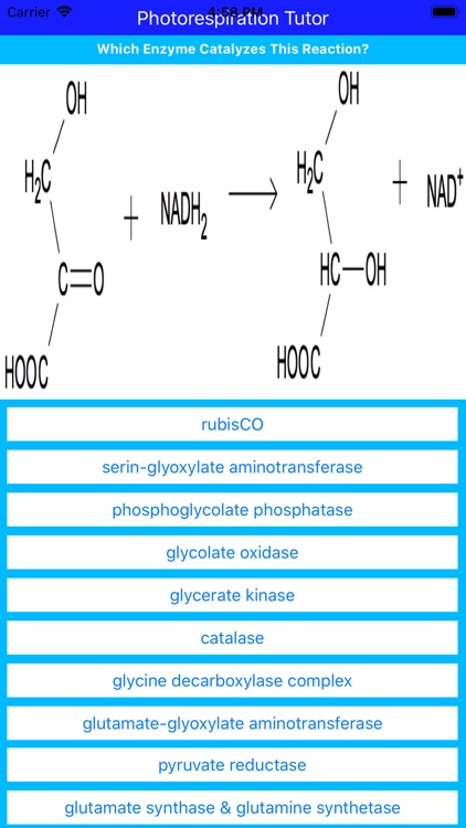 Photorespiration Tutor