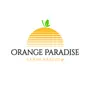 Orange Paradise