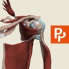 Primal's 3D Shoulder icon