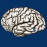 Get Cerebrum ID for iOS, iPhone, iPad Aso Report