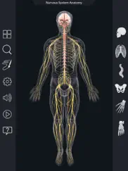 my nervous system anatomy ipad resimleri 1