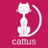 Cattus Learn Latin icon