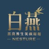 白燕 Nesture