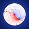 Calculates the magnetic variation based on the World Magnetic Model (WMM) for any location and year between 2020 and 2024 or the current date