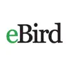 eBird contact information