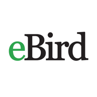 eBird