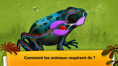 Screenshot #3 pour Comment sont les animaux ?