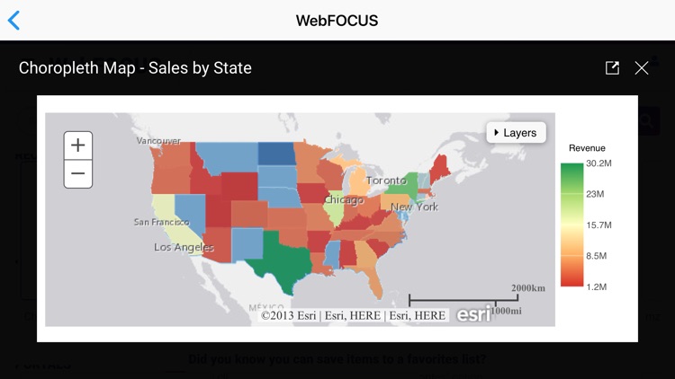 ibi™ WebFOCUS® screenshot-3
