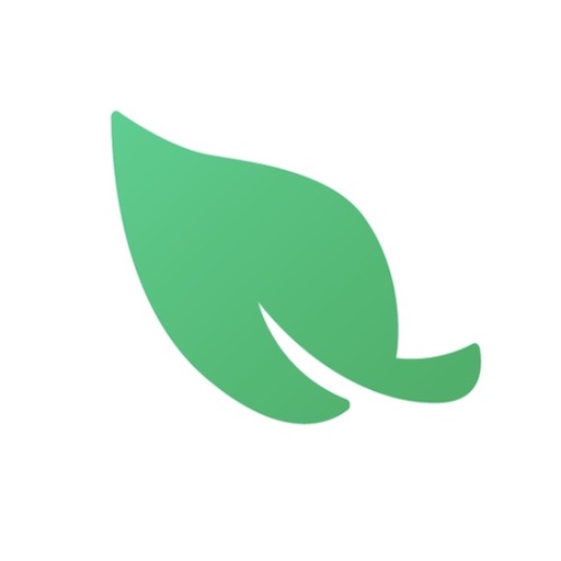 Leaf VPN iOS App