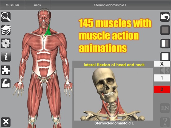 3D Anatomy iPad app afbeelding 1