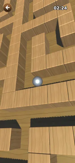 Game screenshot Maze Ball Random mod apk