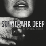 SOUNDPARK #DEEP на пк