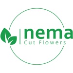 Download Nema Cut Flowers app