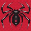 Icon Spider Solitaire: Card Game