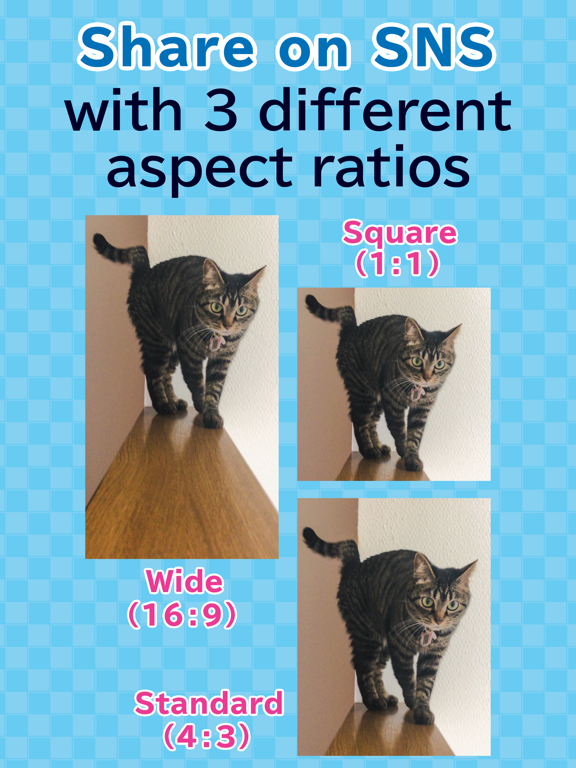 toruneko (KittyCam) iPad screenshot 6 - Photo & Video app