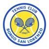 TC Borgo San Lorenzo icon