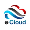 Electronic Cloud