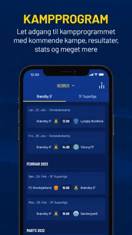 Game screenshot Brøndby IF hack