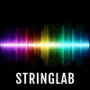 StringLab App Delete