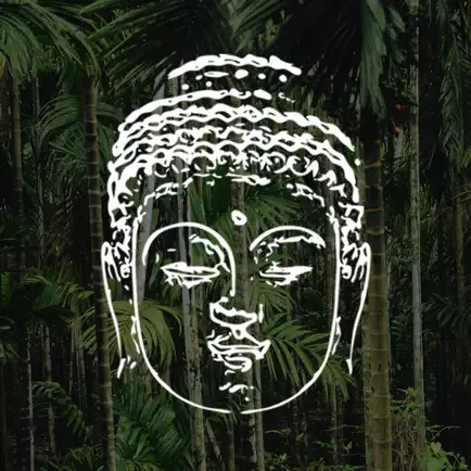 Bodhi Medical Qigong Cheats