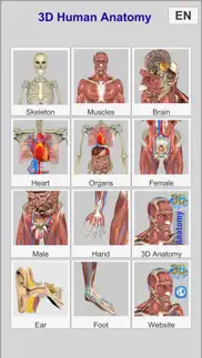 3d bones and muscles (anatomy) iphone screenshot 2