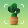 Icon Plantum - AI Plant Identifier