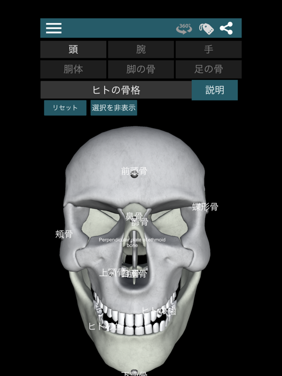 3D人骨（解剖学）のおすすめ画像1