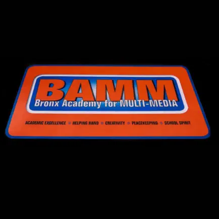 Bronx Academy for Multi Media Cheats