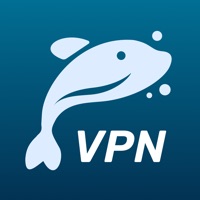 Surfguardian VPN ne fonctionne pas? problème ou bug?