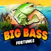 Big Bass Fortunes icon