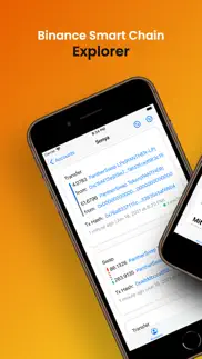 binance smart chain explorer iphone screenshot 1