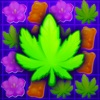 Tasty Buds - Match 3 Idle icon