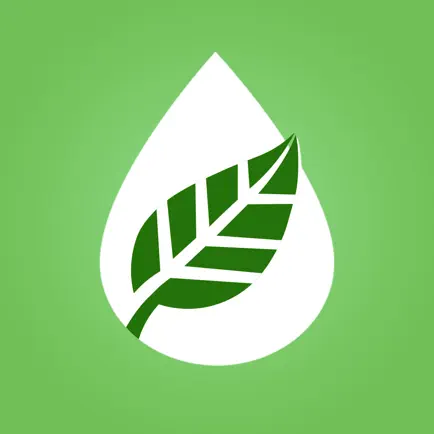 Young Living Essential Oils - Читы