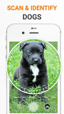 Game screenshot Dog Scanner Dog Breed Photo ID mod apk