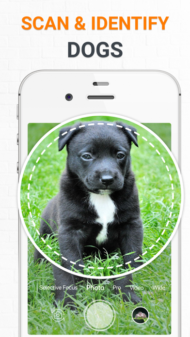 Dog Scanner Dog Breed Photo ID Screenshot