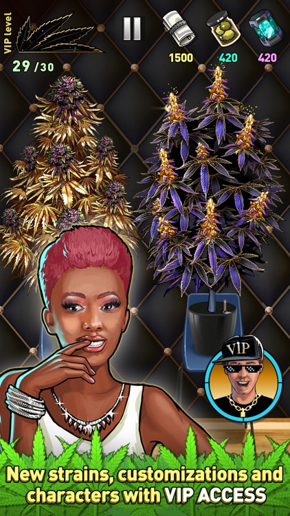 Weed Firm 2: Back To College on the App Store
