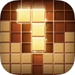 Download Wood Block Puzzle - Brain Test app