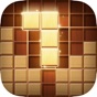Wood Block Puzzle - Brain Test app download