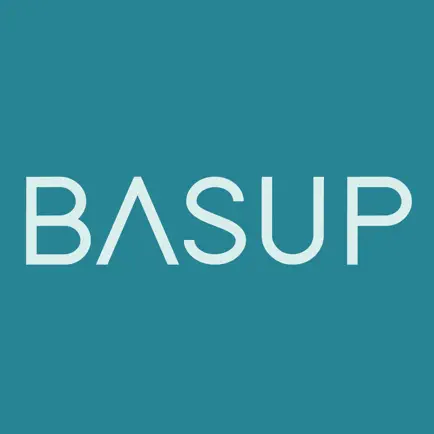 Basup Project Cheats