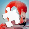 Jigsaw Puzzle of the Day HD
