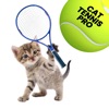 Cat Tennis