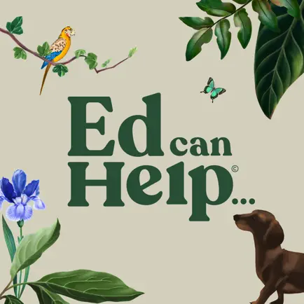 Ed can Help: Anxiety Self-Care Читы