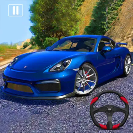 Traffic Car Driving Sim 3D Cheats