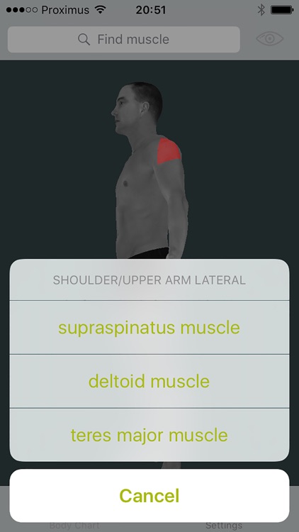 Dry Needling Guide screenshot-4