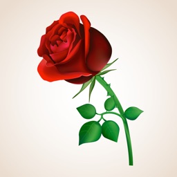 Animated Rose Day Stickers